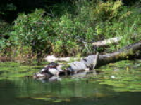 100_5661.jpg